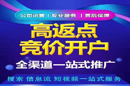 sem代运营机构经典案例：提升广告投放效果